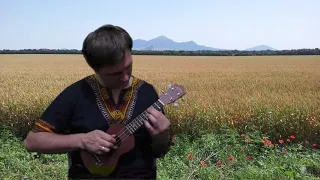 Полюшко-поле на укулеле