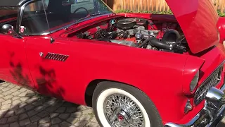 Ford Thunderbird Convertible 1955 - www.oldtimerverkauf.cc