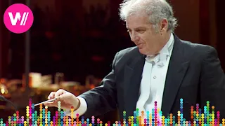 Tchaikovsky - Swan Lake Waltz (with Daniel Barenboim)