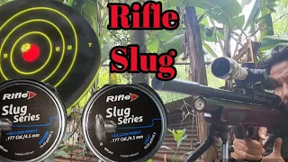 Rifle Slug Series Review||Rifle Slug 13.43gr .177 cal||Diana Outlaw||Airgun Slug