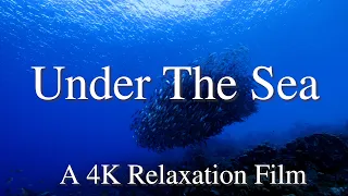 Under the Sea in 4K - Relaxation Film with Soothing  Music