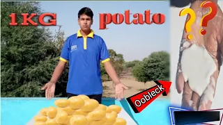 Making Magical Oobleck From 1 Kg Potatoes | Awesome Experiment