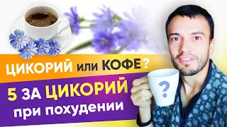 Цикорий или кофе? 5 фактов о цикории при похудении. Цикорий - польза и вред | 12+