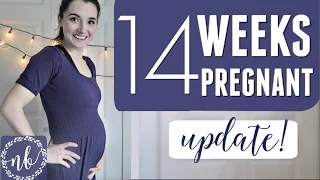 14 WEEKS PREGNANT | FEELING THE BABY MOVE!