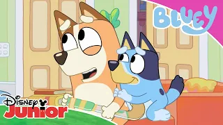 😴 O aventură somnoroasă | Blue | Disney Junior România