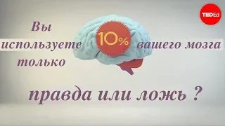 Какой процент вашего мозга вы используете? - Ричард Э. Цитович (TED-Ed на русском)