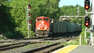 CN Train 368 Eastbound May 30, 2024