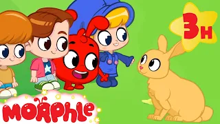 Morphle's School Trip to the Forest!  | Morphle's Family | My Magic Pet Morphle | Kids Cartoons