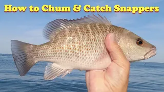How to Catch Snapper using Chum & How to Troll for Grouper in Tampa Bay.