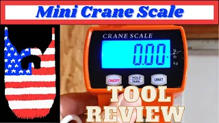 Mini Crane Scale