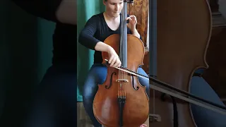 5 saiter cello bubenreuth