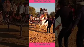 Horse dance