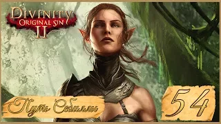 Divinity: Original Sin II ★ 54: Джаан и ведьма