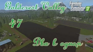 Farming Simulator 17, карта Goldcrest Valley, прохождение, #47 Два в одном