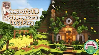 1.18 Starter Cottagecore Hobbit Hole! Ep. 1 - Minecraft 1.18 Let's Play 🌿