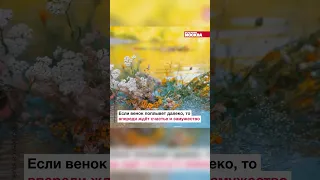 Какие традиции существуют на праздник Ивана Купалы? #гадание #мифология #славяне