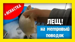 ЗИМНИЙ ЛЕЩ! Ловля леща на длинный поводок. Скользящая оснастка для ловли леща — #OmskFish