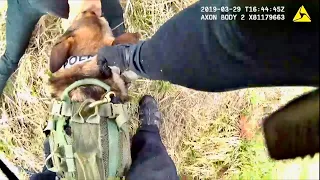 Seattle Police K9 'Jedi' Eats Man For Lunch