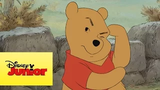 Mini aventuras de Winnie the Pooh - El concurso de Igor