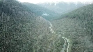 Drone Footage Shows Damage Done by Storm in Northern Italy