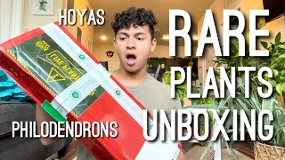 Imported Rare Plants! I Can't Believe it! RARE Houseplant Unboxing! Aroid Asia Plants Review!