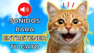 10 Sonidos para Gatos que los volverán LOCOS 😹