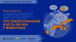 Биолекторий |  Что такое сознание и есть ли оно у животных? – Иван Хватов