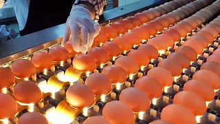 Top 10, Best Korean Food Mass Production Process. Amazing Korean Food Factory