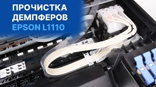 Как прочистить демпферы на Epson L-серии? Разбор принтера и промывка картриджей своими руками