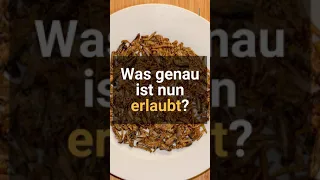 Insekten in Lebensmitteln? Neue EU-Regel erlaubt Insektenpulver im Essen #shorts