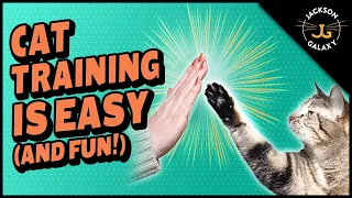 Clicker Training Your Cat is Easy and Fun!