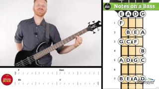 Bass Lesson  Finding Sharps and Flats