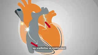 Le système de conduction électrique du cœur