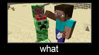 Minecraft wait what meme part 195 (TNT Head)