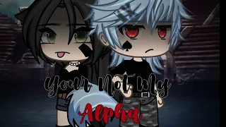 You’re not my alpha || Gacha life || Glmm || part 1