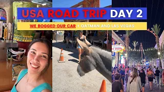 USA ROAD TRIP Vlog, Oatman Arizona Historic Route 66 and Las Vegas, Night in Vegas and Burros!