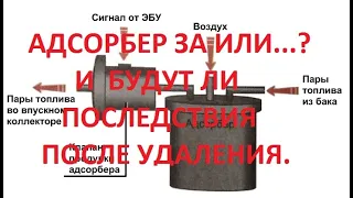 Уаз Патриот. Будут ли  неприятные последствия после удаления адсорбера и  клапана продувки.