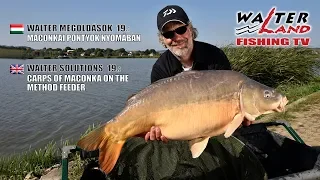 EPISODE 19: Maconkai pontyok nyomában - Carps of Maconka on the Method Feeder