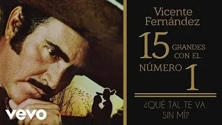 Vicente Fernández - Qué Tal Te Va Sin Mí (Tema Remasterizado) [Cover Audio]