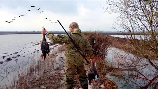 ОТКРЫТИЕ ВЕСЕННЕЙ ОХОТЫ НА ГУСЯ! НА КУКУРУЗНЫХ ПОЛЯХ.