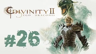 Прохождение Divinity II: Ego Draconis - Часть 26 (Горние чертоги)