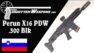 Slovenian Modularity: Perun X16 "PDW" in .300 Blackout