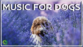 Dog Music Therapy Calming Aid for Relaxation | Soothing Music for Dogs to Calm Down, Relax & Sleep