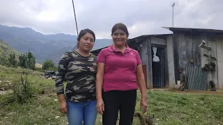 Les presento mi casa y mi ranchito; vivir aquí es una bendición @LasCuriosidadesdeMarcelina