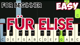 BEETHOVEN - FÜR ELISE | SLOW & EASY PIANO TUTORIAL