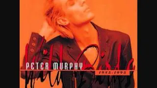 Peter Murphy - Cuts you up (Live)