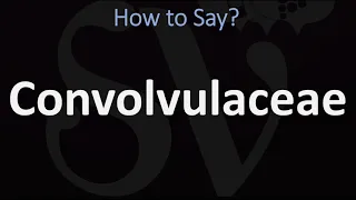 How to Pronounce Convolvulaceae? (CORRECTLY)