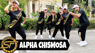 ALPHA CHISMOSA ( Dj Sandy Remix ) - Budots Remix | Dance Trends | Dance Fitness | Zumba