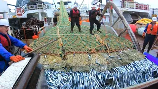 Net Fishing On The Big Boat, Catching and Producing Hundreds of Tons Fish Frozen At Sea