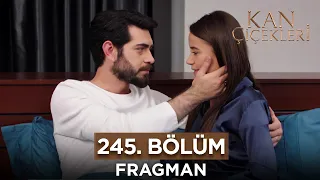 Kan Çiçekleri 245. Bölüm Fragmanı - 5 Şubat Pazartesi